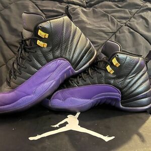 🔥👟 Air Jordan 12 “Field Purple” – Men’s Size 10 – Clean Pre-Owned – No Box 🔥